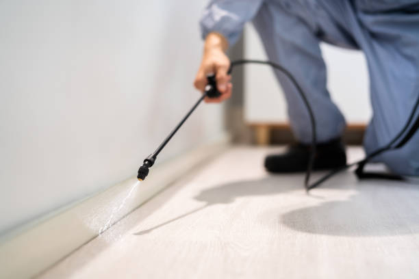 Licensed Termite Control service in Moreauville, LA - Show Me Pest Control