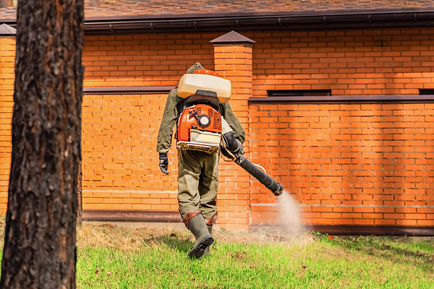 Bed Bug Clearance Verification and Documentation in Moreauville
